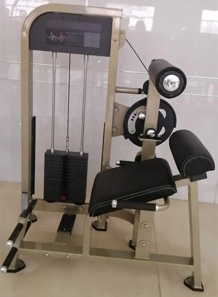 サイベックス デュアルシリーズ ジム機器 バックエクステンション
