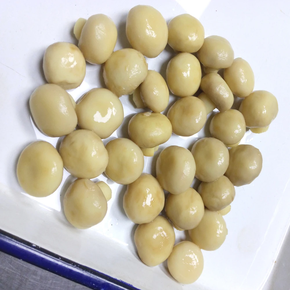 Свежий белый гриб в жестяной банке