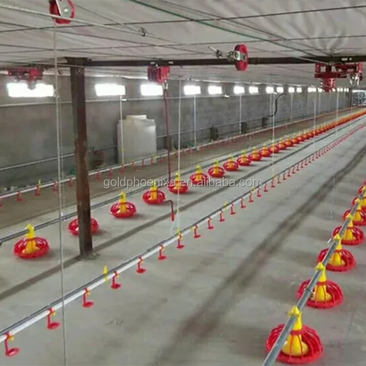 Automatic Controller Economy Broiler House Drinking and Feeding System Poultry Farming Equipment