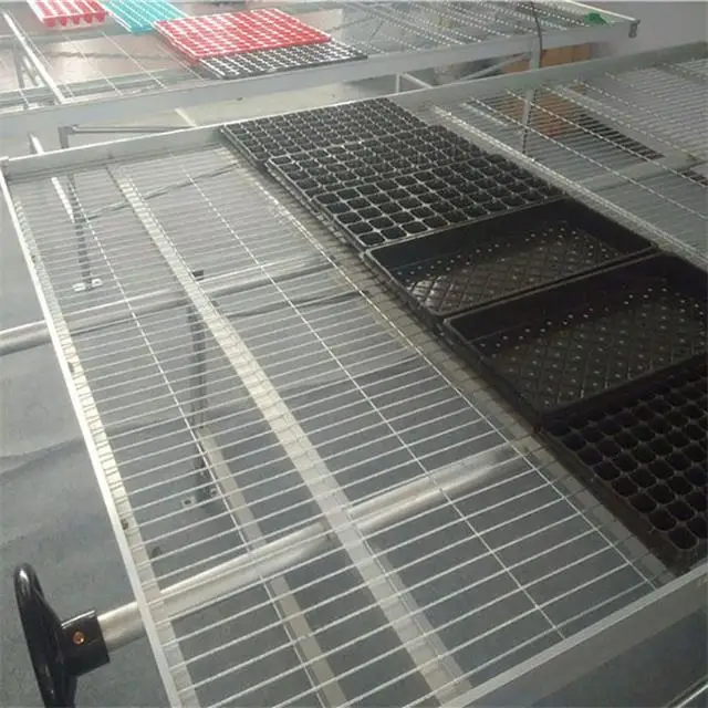 Ebb and Flow Rolling Bench for Seedling in Greenhouse