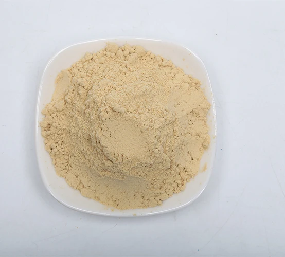 Лидер продаж с завода, мгновенно обезвоженный сухой порошок, Имбирные гранулы