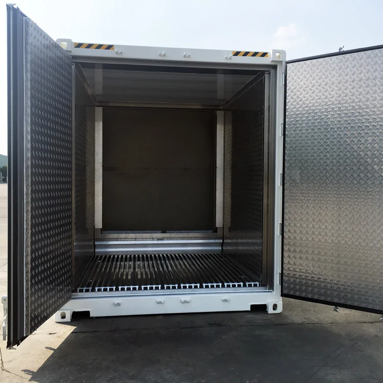 20 Ft Super Reefer Container Equip Carrier Or Thermo King Cooling Unit