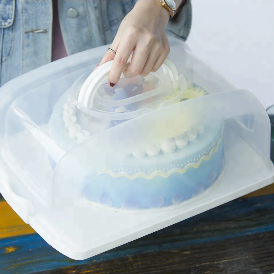 rectangular cake storage box clip lock