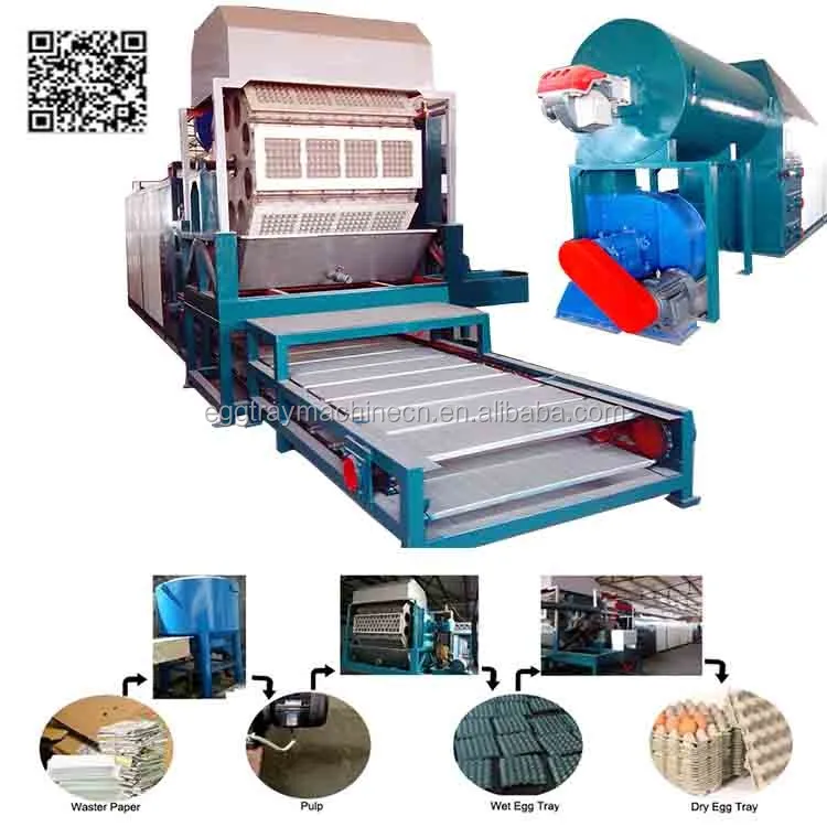 Egg Tray Forming Machinery Egg Carton Box Making Machine Using Waste Paper Agricultural Waste Rice Straw Material