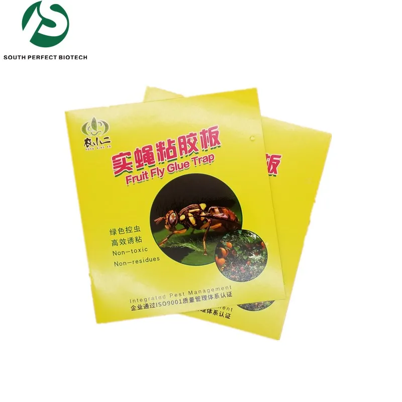 Drosophila Fruit Fly Glue Trap Is Suitable For Orchard And Farm Buy Fruit Flies Sticky Boards Pheromone Lure Sticky Cards Insects Attracting Traps Product On Alibaba Com