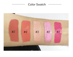 Новое поступление, фирменный логотип на заказ, Матовая жидкая кисть с высоким пигментом для румян, румян, горячих блесков для губ