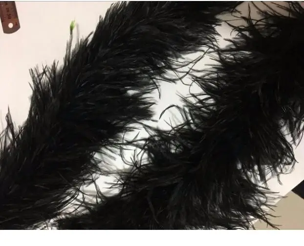 Feathers Boa Ostrich Feather Fluffy Strips Feather Boa For Party Wedding  Dress Decoration - 2 Yards Turkey Feathers For Crafts Feather Costume Diy  Dec