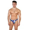 Lupo blu reale