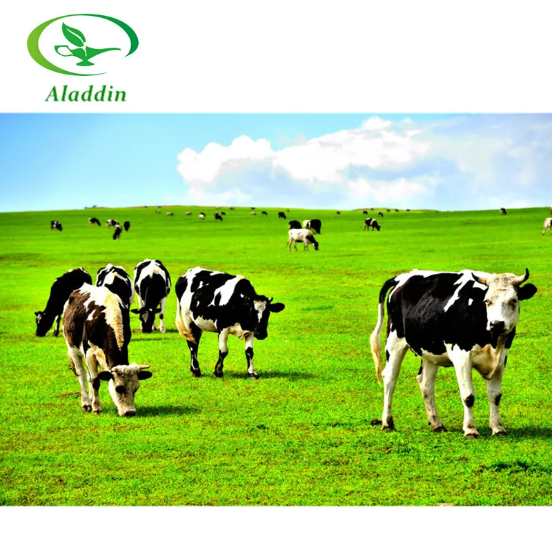 
99% лактоферрин в порошке/цветной порошок CAS NO. Сертификат ISO: 146897-68-9 для человека 