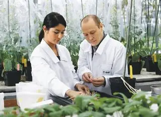 Xi'an FlavorSpring Biotech Co., Ltd. 3