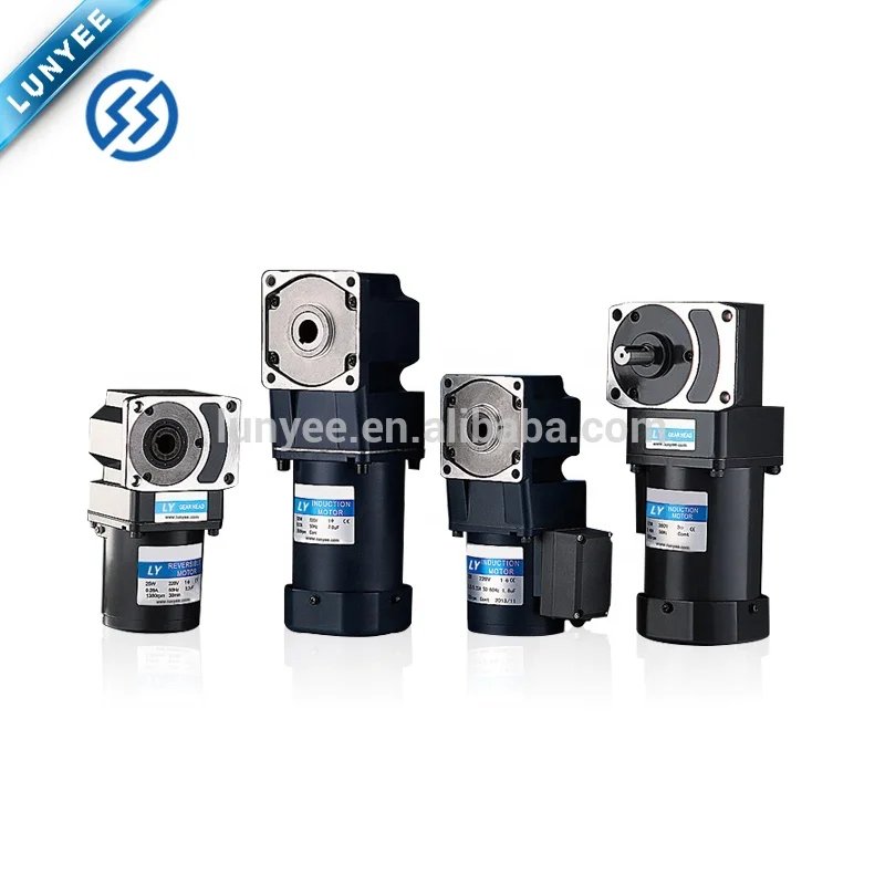 High Torque Low Rpm Small Powerful AC Electric Motors 3W to 400W