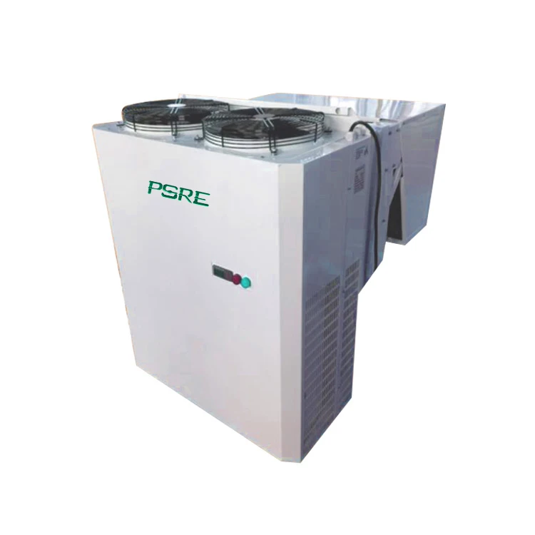 Solar Power DC Inverter Wall Mounted Condensing Unit for Small Cold Room