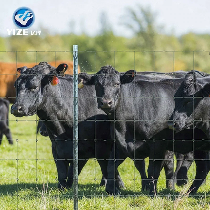 Angus Cattle Used Corral Panels Field Fence New Export to Australia Zealand  USA Pvc Coated Fencing