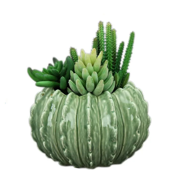Kerajinan Desain Kaktus Unik Pot Bunga Keramik Untuk Dekorasi Rumah Buy Keramik Pot Bunga Pot Bunga Pot Keramik Desain Baru Product On Alibaba Com