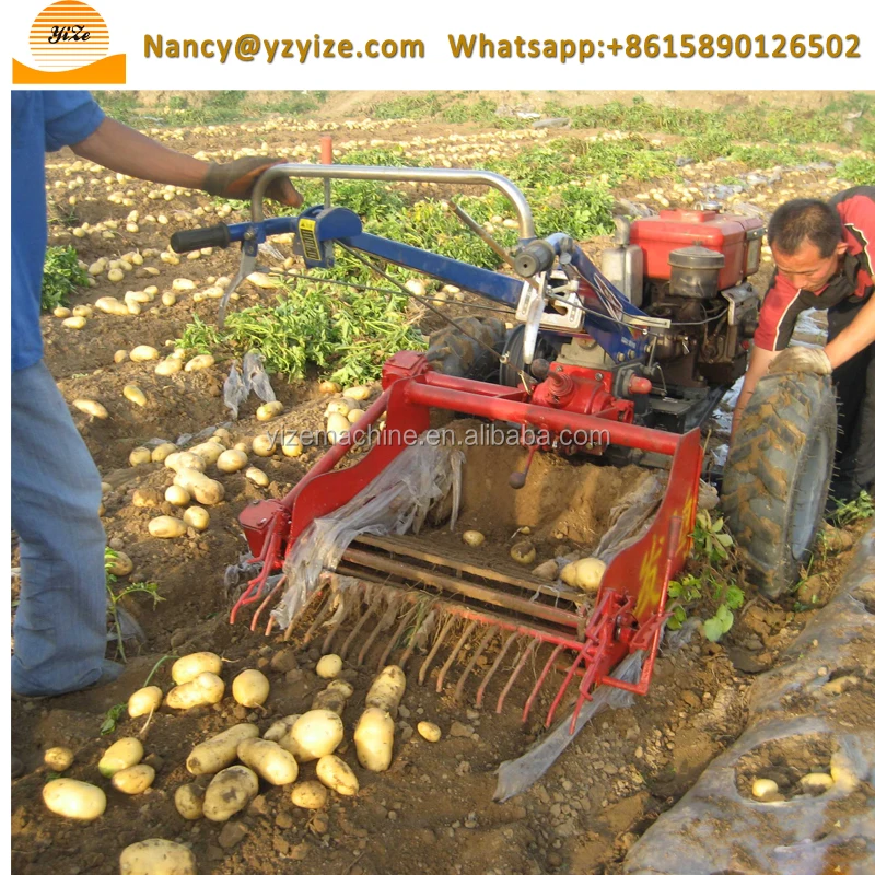Mini Double Rows Tractor Mounted Onion Cassava Sweet Potato Murphy Carrot Turmeric Harvester