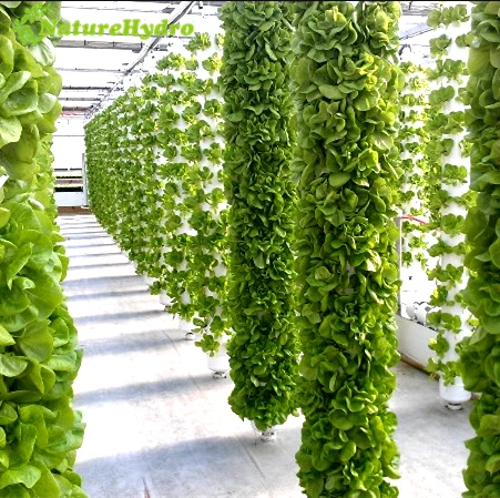 Advanced Aerponics System Vertical Farming Aeroponic Tower
