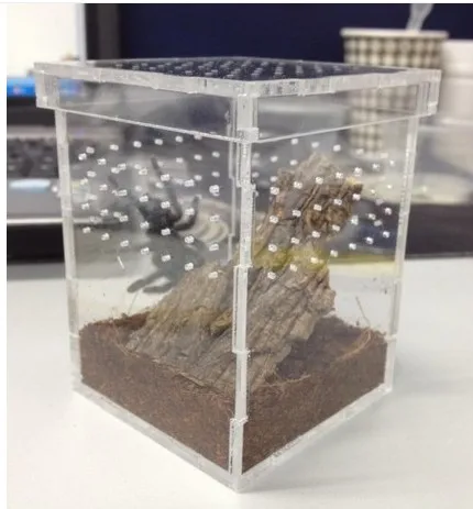 Sliding Lid PMMA Reptile Box Clear Plastic Pet Case Snake Acrylic Cages