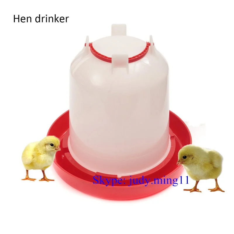Poultry Bird Chicken Drinker 6L and 3kg Feeder 