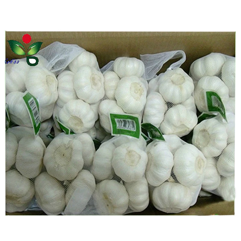 Pure white garlic 1kg/mesh bag 10kg carton,China Golden Long Yuan price  supplier - 21food