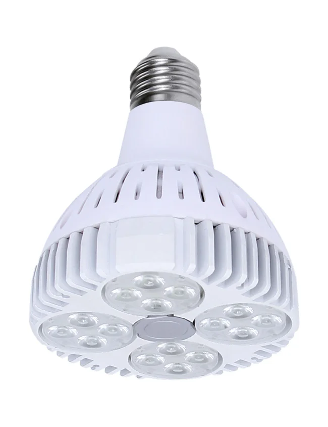 Snor Vervorming Buitenland Led Lamp E27 Par30 Socket 10 W 4000 K 230 V 30degree 700 Lm - Buy Par30 Led  Bulb,Led Spotlight,Led Par30 Light Product on Alibaba.com