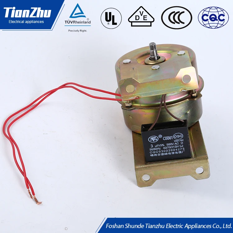 Tianzhu Factory Made Good Quality Favorable Price Electric AC 220V Shoe Polishing Motor