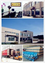 Fengcheng Hongbo Turbo Co., Ltd. 1