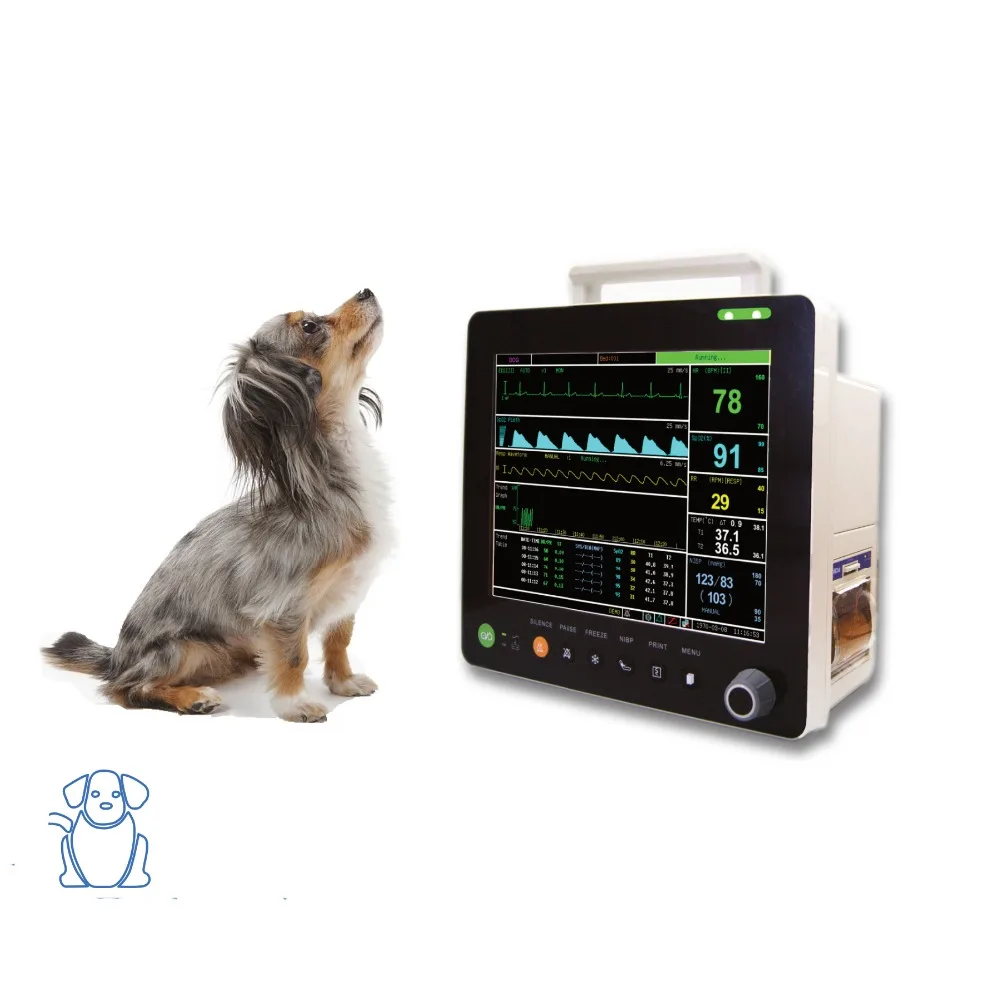 Pm6000v Patient Monitor Veterinary Vital Signs Monitor For Cat/dog