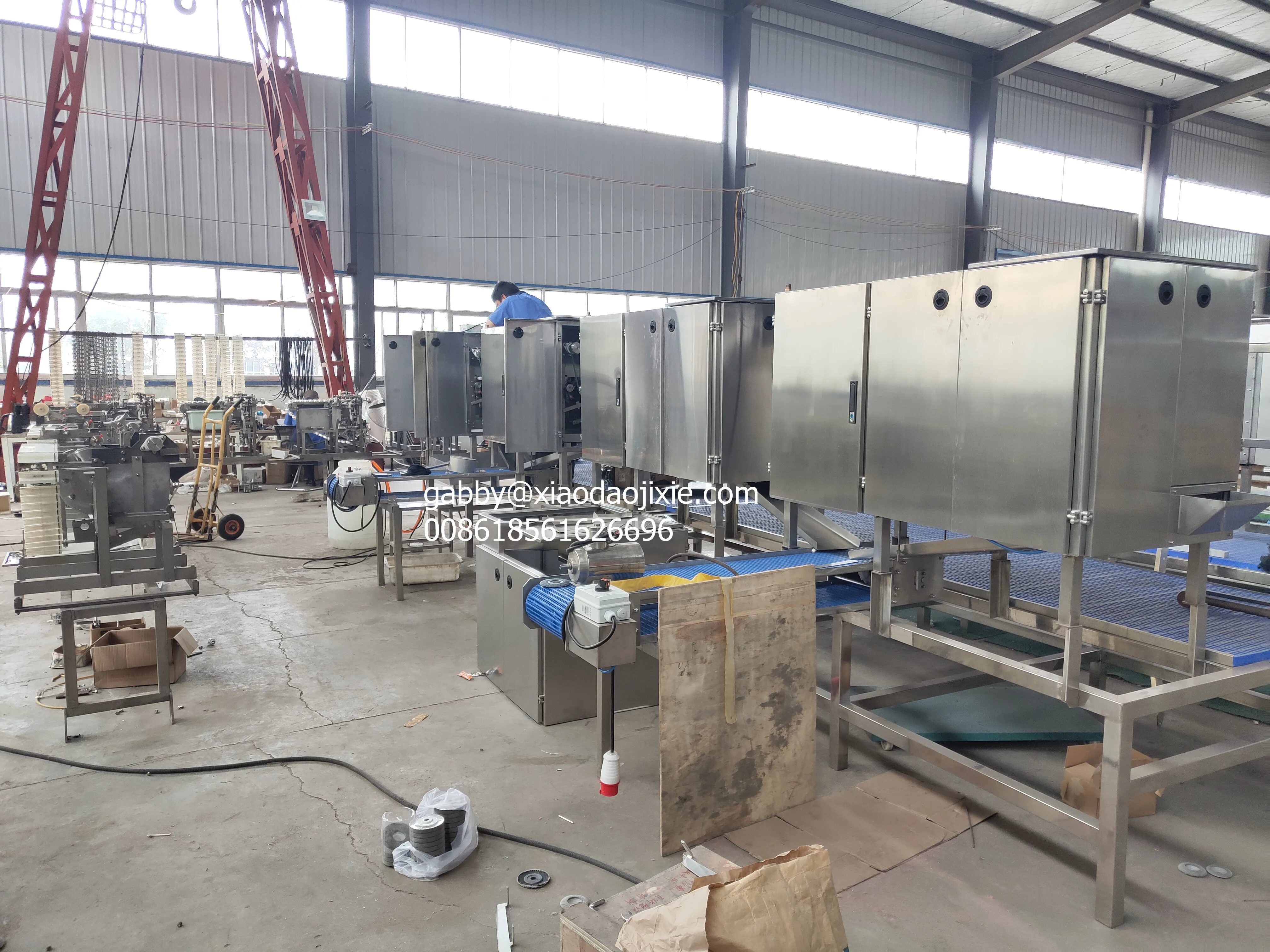 Premium Design Automatic Shrimp Shell Remover and Vein Cleaner Equipment  Shrimp Processing for Industrial Shrimp Processing