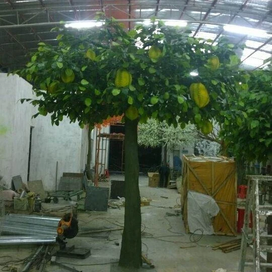حيث لشراء أشجار الفاكهة بكميات كبيرة