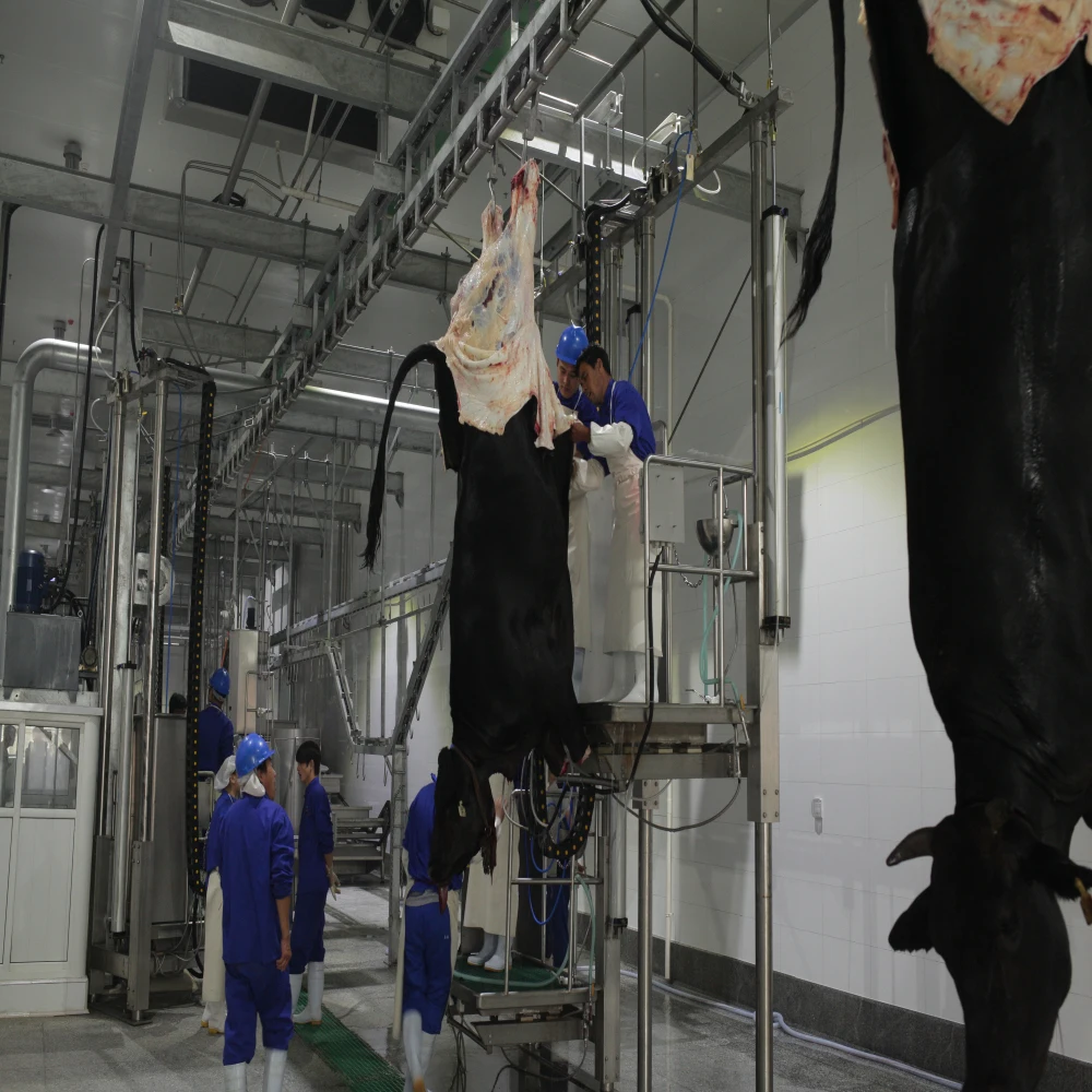 Meat processing equipment machines Abattoir slaughterhouse cattle and pig slaughtering line