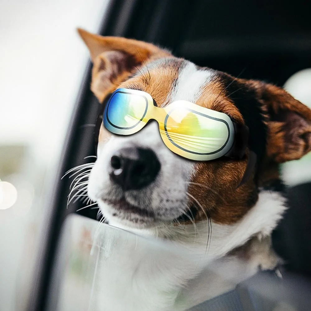 New Design Pet Glasses UV Protection Dog Goggles Fashionable Waterproof Pet Sunglasses for Pet Puppy Cat