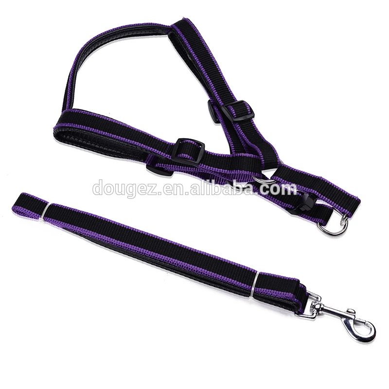 Широко использовать низкая цена оптовая продажа нейлон веревка собаки поводок, регулируемая собаки поводок,