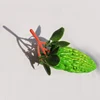 Balsam pear