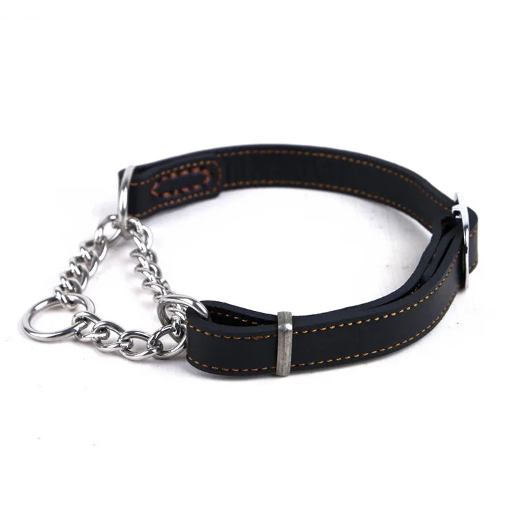 Martingale Hundehalsband Aus Echtem Leder, 2,5 Cm Breit – Verstellbar Für 17–50,8 Cm Halsumfang