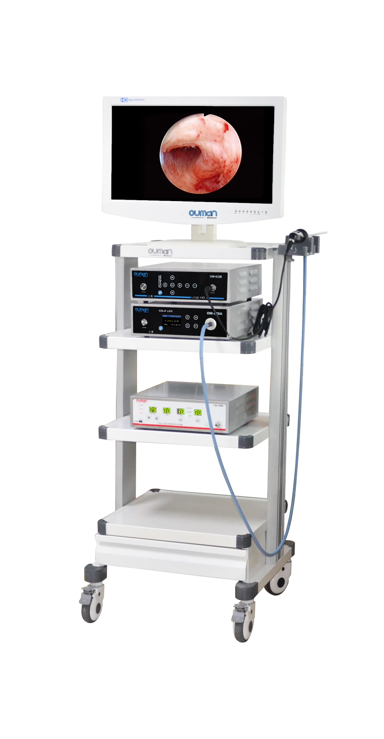 19 Inch Medical LCD Monitor for Endoscope Device