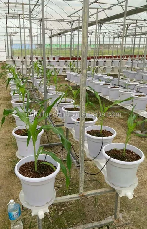 Homemade Hydroponics System PVC Hydroponics Pipe