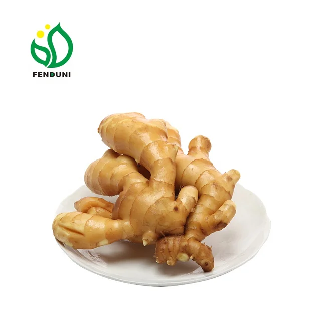 Wholesale Ginger Fresh yellow ginger factory price