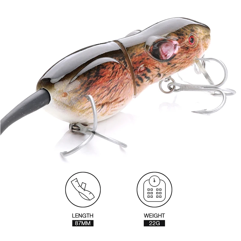 best rod and reel for small bass fishing Casting Ardent Reel Care Freshwater Youll feel every move not on sale Model:5/6 Wt