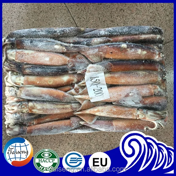 Оптовые цены на продукты питания для рыбы морепродуктов замороженный Каламар для импортера замороженной рыбы
