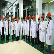 Hunan Powerwell Industrial Co., Ltd.