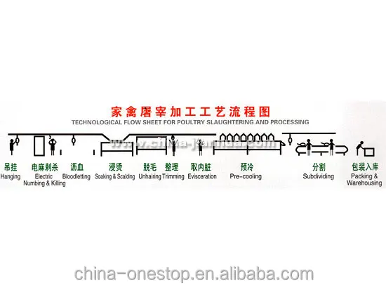 Large poultry processing equipment chicken slaughtering machine