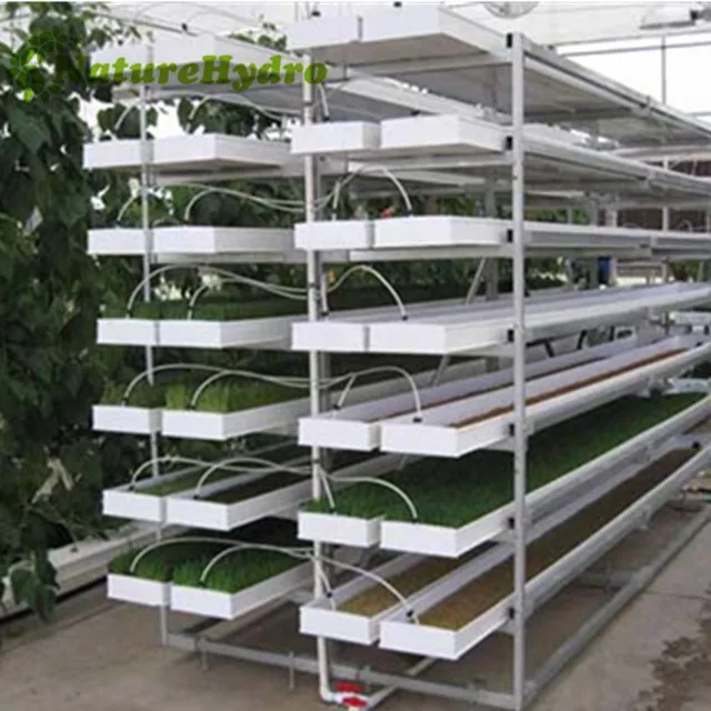 Plastic Fodder System Troughs Automated Hydroponic System in Pvc Channels
