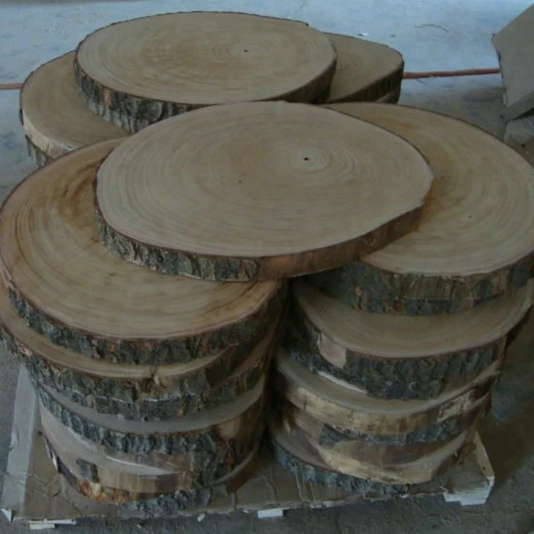Pao Tong Log Cut Paulownia Trunk Cut Slice with Clearly Rings for Reference