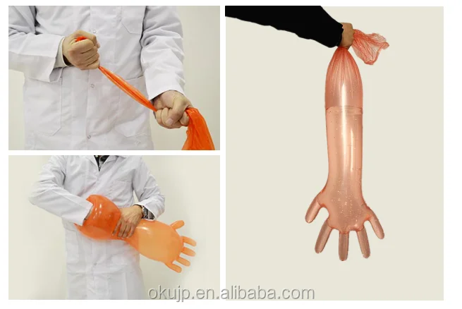veterinary glove test