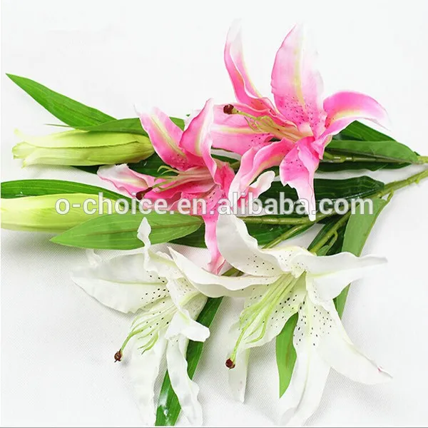 2014 Yiwu Gros 3 Têtes De Haut Dried Lily Flowers Pour Décoration - Buy  Fleur Artificielle Product on 