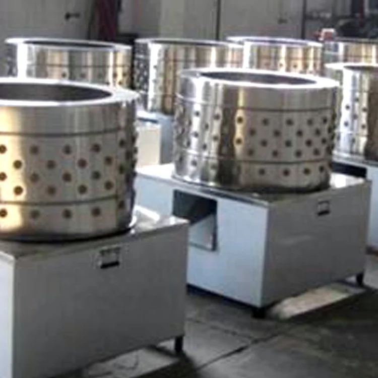Economical poultry feather plucking machine for poultry slaughtering lines