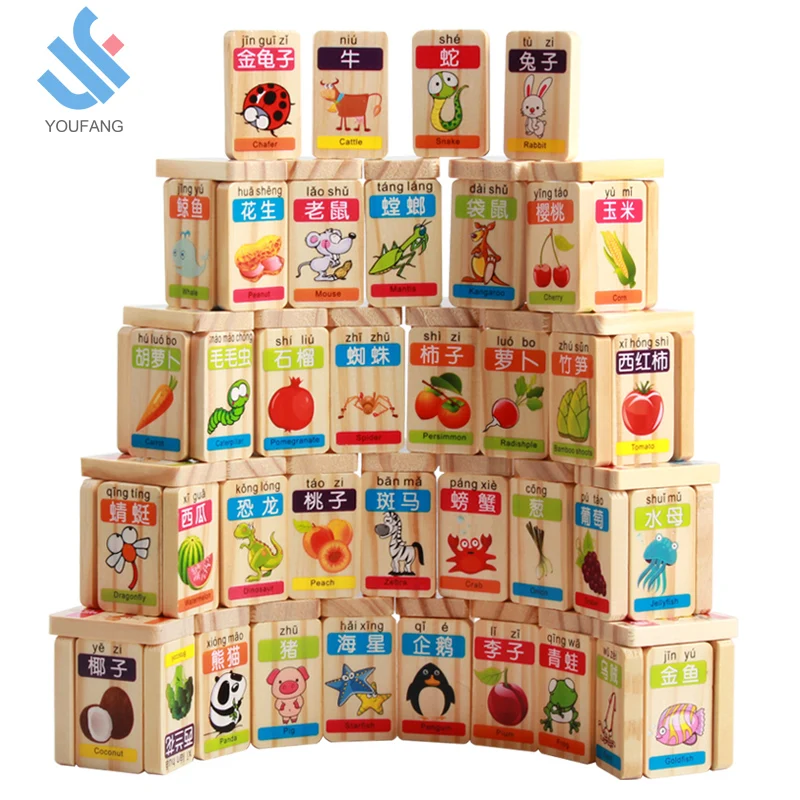 YF-M535 Дешевые образовательные Новый дизайн 100 шт. фруктов и животных деревянных игрушек деревянный домино