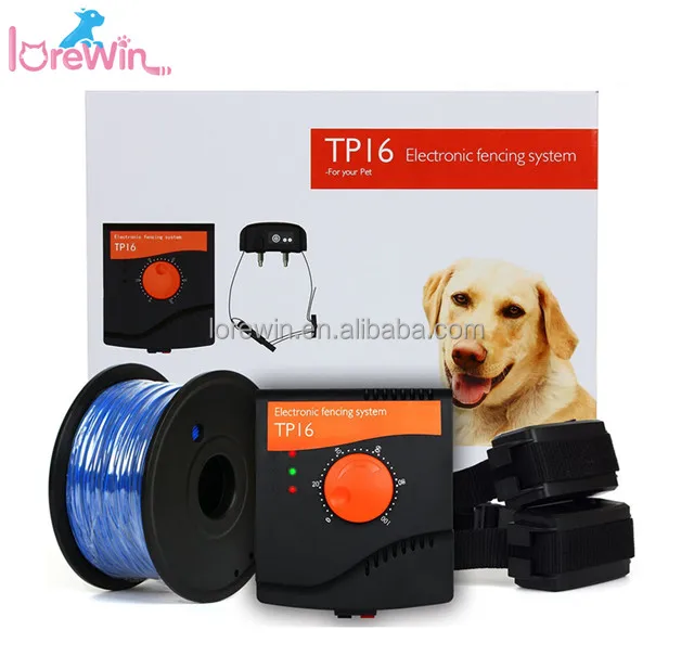 electric dog fencing system