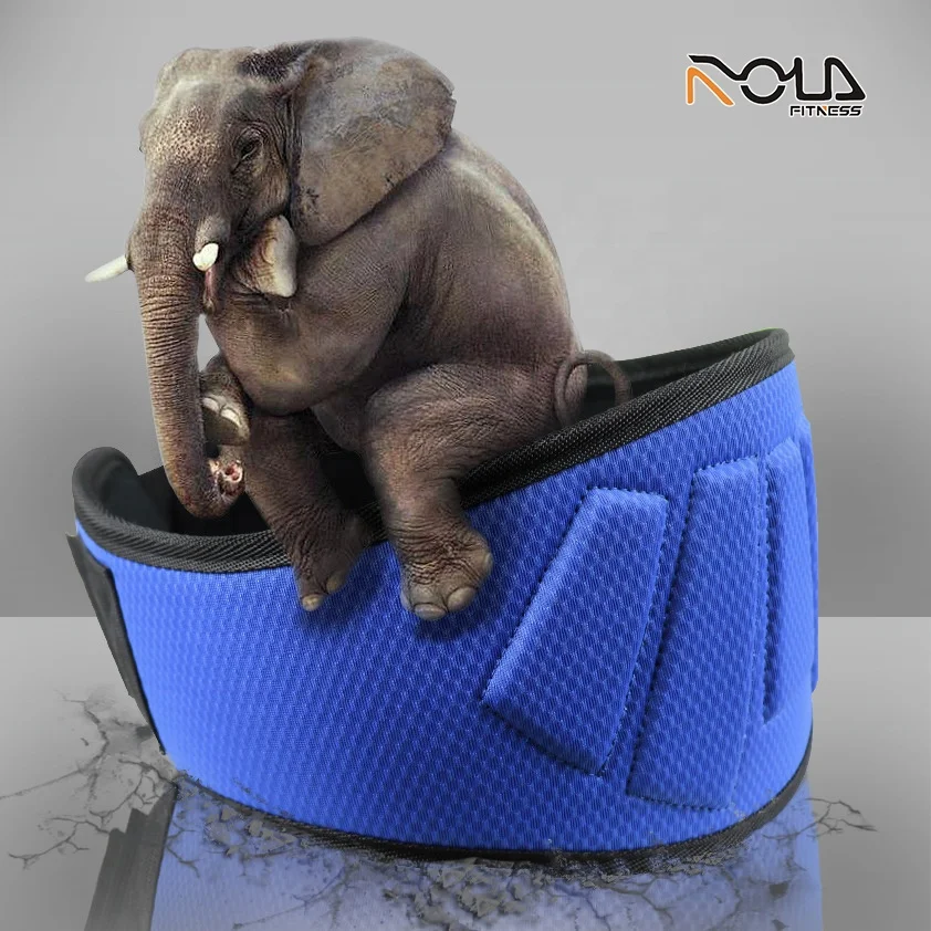 
Оптовая продажа, ремень для поддержки спины и тяжелой атлетики 