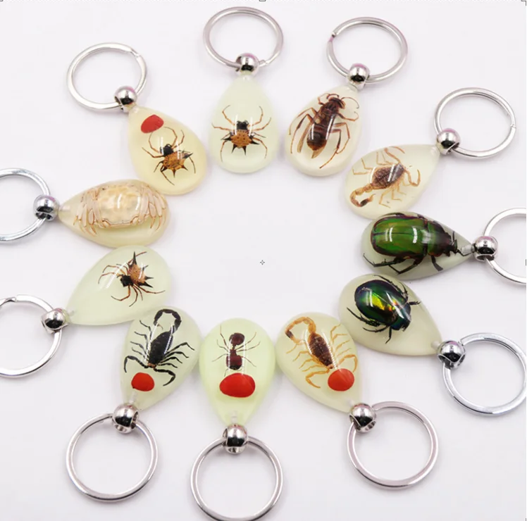 Luminous Scorpion Keychain Real Insect Amber Keyring Fluorescent Effect Metal Plastic Resin Acrylic Number Gifts Decorations